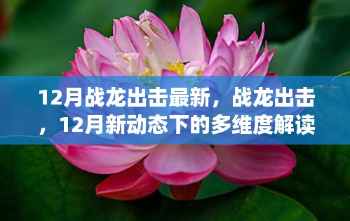 戰(zhàn)龍出擊，12月新動(dòng)態(tài)多維度解讀