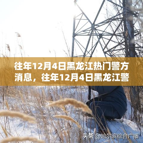 黑龍江警方警務(wù)動態(tài)熱點聚焦，警務(wù)影響分析與公眾關(guān)注焦點解讀