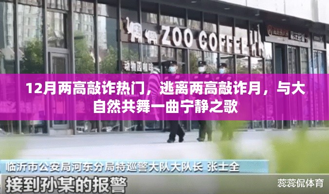 12月熱門敲詐事件，逃離高壓，與自然共舞寧靜之歌