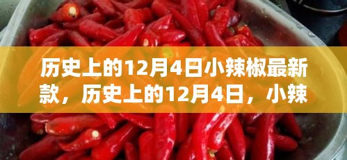 歷史上的小辣椒最新款誕生與影響，揭秘12月4日的獨特意義