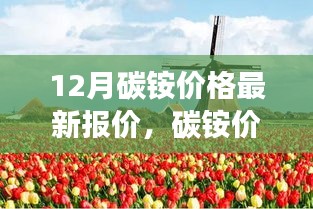 碳銨價格最新動態(tài)，與自然美景相遇，探尋內(nèi)心寧靜之旅