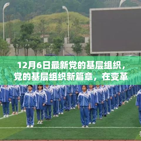 變革之光，黨的基層組織新篇章，12月6日最新發(fā)展
