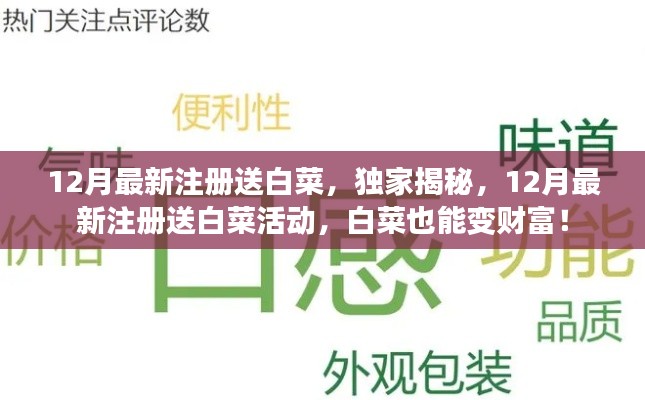 獨家揭秘，12月最新注冊送白菜活動，白菜也能變財富狂歡！