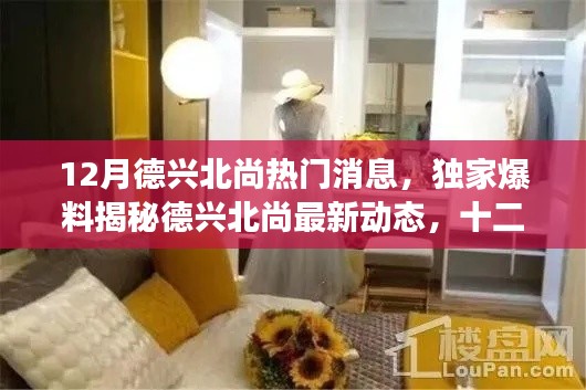獨家爆料，德興北尚十二月最新動態(tài)揭秘，震撼消息一網(wǎng)打盡！