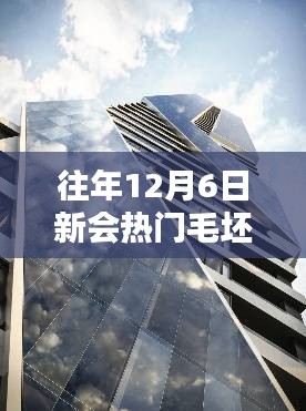 揭秘新會熱門毛坯二手樓市，購房者三大關(guān)注點解析（往年12月6日）