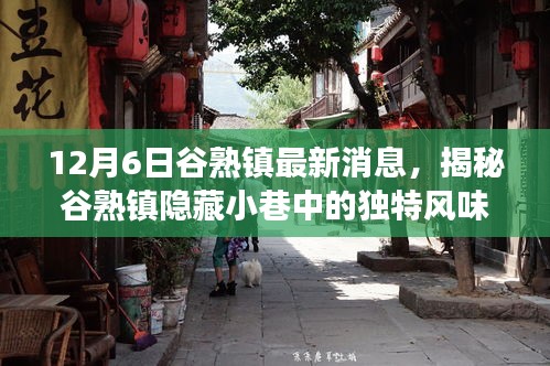 谷熟鎮(zhèn)特色小店揭秘，隱藏小巷的獨特風味最新故事
