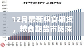 聚焦糧食期貨市場深度洞察，十二月最新動態(tài)與市場趨勢