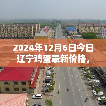 揭秘！2024年遼寧雞蛋最新行情及價格走勢