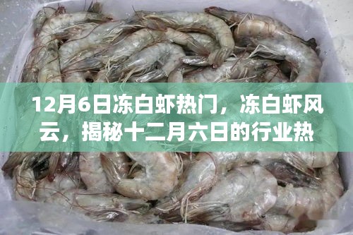 揭秘凍白蝦風(fēng)云，十二月六日的行業(yè)熱點(diǎn)與深遠(yuǎn)影響