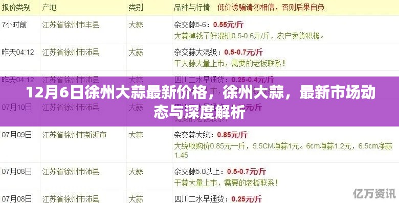 徐州大蒜最新價格動態(tài)，深度解析與市場走勢預測