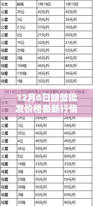 12月6日螃蟹批發(fā)價格最新行情，12月6日螃蟹批發(fā)價格最新行情詳解，入門指南與關(guān)鍵步驟