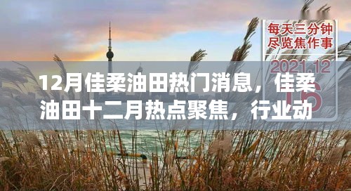 佳柔油田十二月動態(tài)，行業(yè)熱點聚焦與技術(shù)進(jìn)展