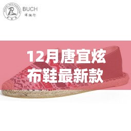 唐宜炫布鞋最新科技風尚款，融合傳統(tǒng)與智能，引領時尚新潮流的價格揭秘