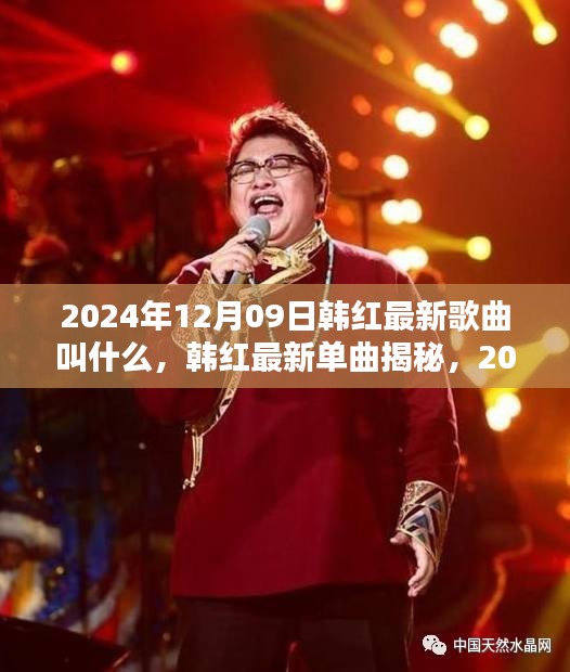 韓紅最新單曲揭秘與全面測(cè)評(píng)，2024年12月09日之作