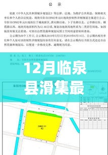 臨泉縣滑集地區(qū)最新規(guī)劃解讀，未來藍(lán)圖展望