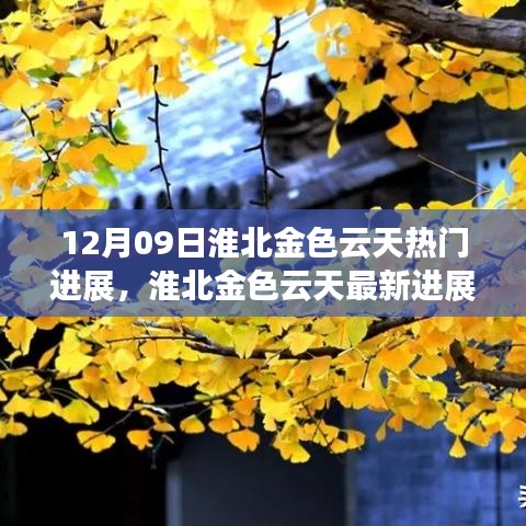 淮北金色云天最新進展報告，聚焦十二月九日熱門動態(tài)