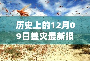 科技之光照亮蝗災(zāi)防線，智能監(jiān)測預(yù)警系統(tǒng)引領(lǐng)科技抗災(zāi)新時代新篇章