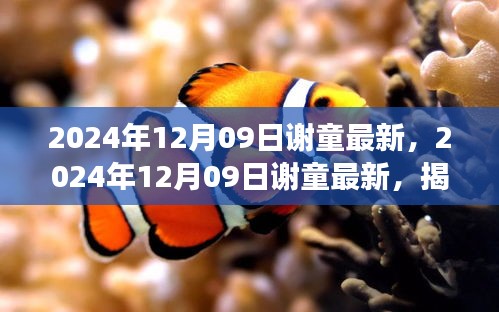 揭秘音樂(lè)才子謝童的全新音樂(lè)之旅，2024年12月09日最新動(dòng)態(tài)揭秘