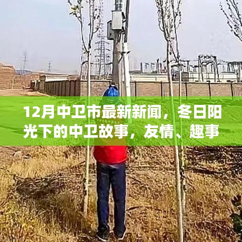 中衛(wèi)市最新新聞，冬日陽光下的溫情故事與家的溫暖