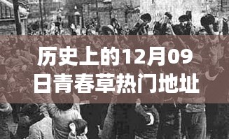 探尋青春草熱門地址背后的文化現(xiàn)象與青春記憶，歷史視角下的12月09日回顧