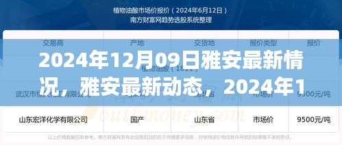 雅安最新動態(tài)深度觀察，2024年12月09日最新情況報告
