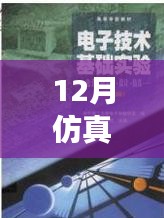 仿真之路，實時啟航，迎接自信與成就感的魔法時刻——十二月仿真需求解析
