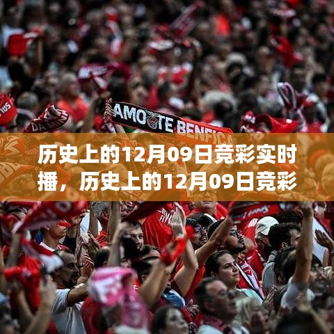 造價咨詢 第82頁