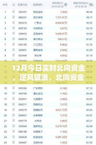北向資金啟示下的成長奇跡，12月實(shí)時(shí)洞察，自信成就夢(mèng)想之旅