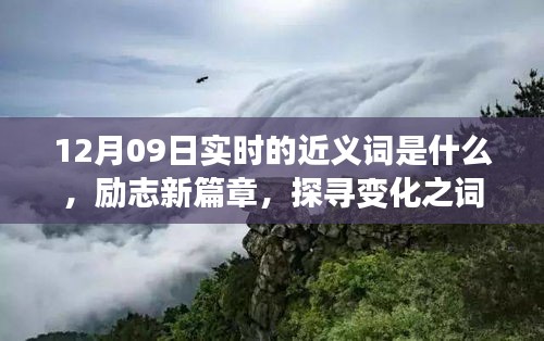 12月09日實(shí)時(shí)近義詞探索與勵(lì)志新篇章，探尋詞匯魔力，學(xué)習(xí)鑄就自信成就之橋