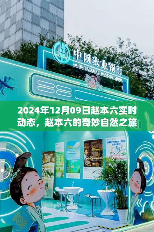 趙本六的奇妙自然之旅，尋找內(nèi)心平靜的美麗秘境（實(shí)時更新）