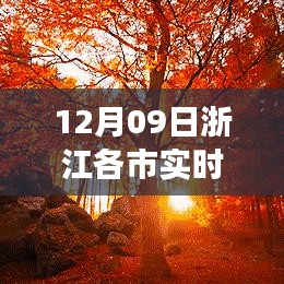 森久 第4頁(yè)