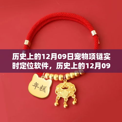 歷史上的12月09日，寵物項(xiàng)鏈實(shí)時(shí)定位軟件深度評(píng)測(cè)與介紹