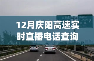 慶陽高速直播電話查詢背后的勵(lì)志故事，駕馭變化，駛向成功