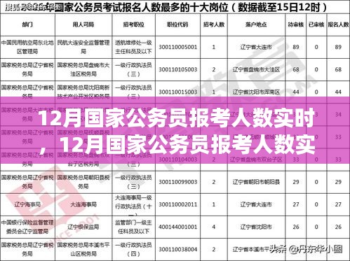 12月國家公務(wù)員報(bào)考人數(shù)實(shí)時(shí)分析與趨勢(shì)探討，數(shù)據(jù)、策略一覽