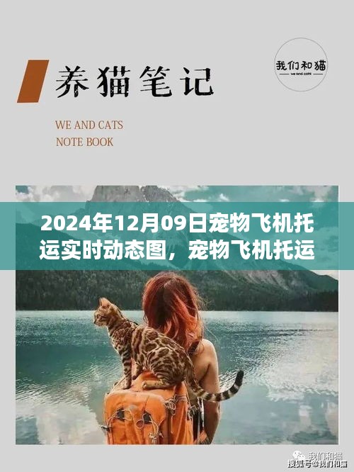 寵物飛機(jī)托運(yùn)全程指南，實(shí)時(shí)動態(tài)圖解（XXXX年）