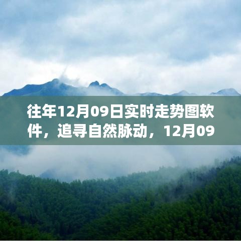 追尋自然脈動(dòng)，12月09日走勢(shì)圖背后的心靈之旅與實(shí)時(shí)走勢(shì)圖軟件解析