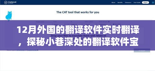 探秘十二月外國實時翻譯軟件，小巷深處的翻譯寶藏體驗之旅