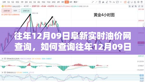 往年12月09日阜新實時油價網(wǎng)查詢攻略，初學(xué)者與進(jìn)階用戶指南