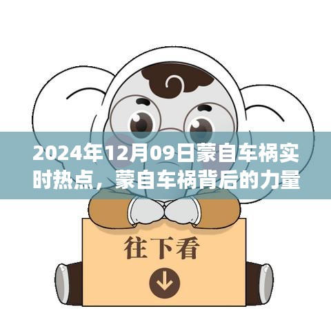 蒙自車禍背后的力量與人生自信成就之路，實(shí)時(shí)熱點(diǎn)解析