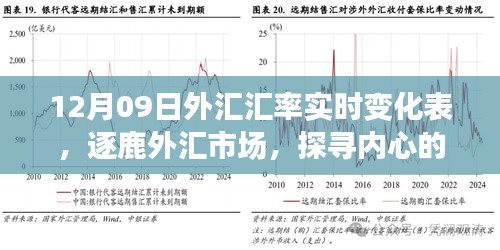 揭秘外匯市場風(fēng)云變幻，探尋匯率背后的故事——12月09日外匯匯率實(shí)時(shí)變化表解析