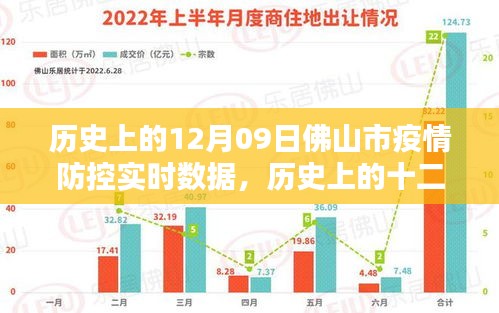 佛山市疫情防控實時數(shù)據(jù)深度解析，歷史視角下的十二月九日觀察