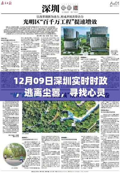 深圳自然探索之旅啟示，逃離塵囂，尋找心靈綠洲的啟示（實(shí)時時政報道）