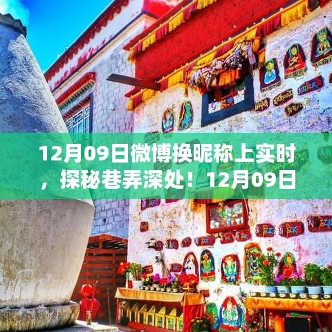 巷弄深處的奇遇，12月09日微博昵稱下的特色小店探秘