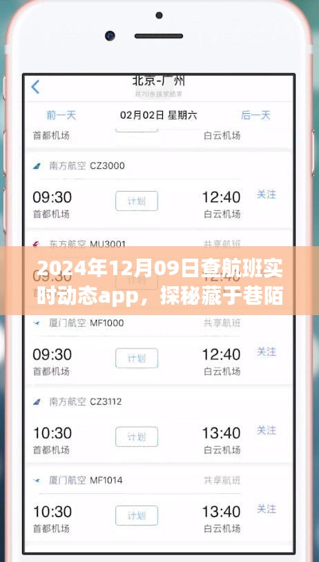 探秘航班實(shí)時(shí)動(dòng)態(tài)小天地，2024年12月9日的奇妙航班查詢之旅