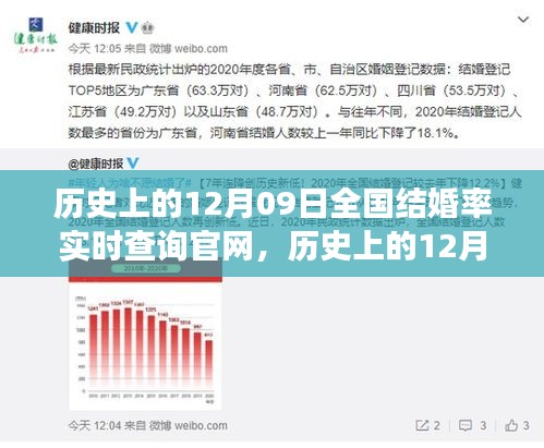 歷史上的12月09日全國(guó)結(jié)婚率實(shí)時(shí)查詢官網(wǎng)，探尋數(shù)據(jù)背后的故事