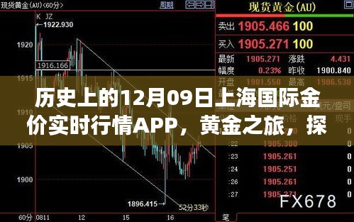 上海國際金價實時行情APP的黃金之旅，歷史探索與自然美景的融合體驗。