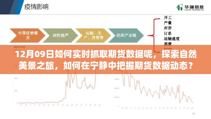 探索自然美景之旅與實(shí)時(shí)抓取期貨數(shù)據(jù)，寧?kù)o中的動(dòng)態(tài)把握策略