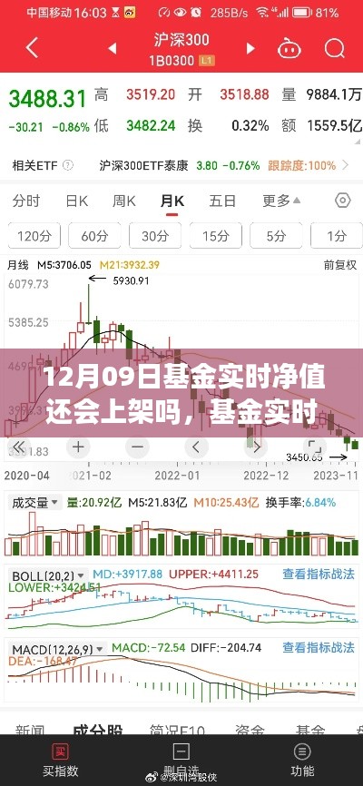 十二月九日基金實(shí)時凈值上架預(yù)測與動態(tài)解析