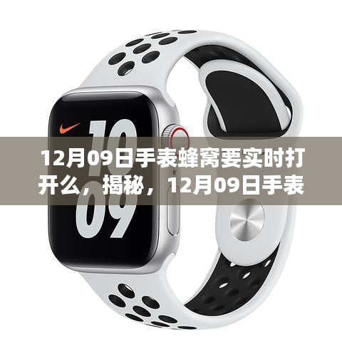 揭秘，12月09日手表蜂窩實(shí)時(shí)開啟的重要性及操作指南