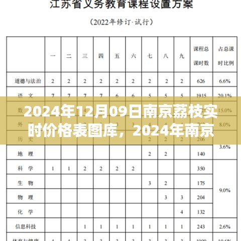 2024年南京荔枝實(shí)時(shí)價(jià)格表圖庫(kù)制作指南，從初學(xué)者到進(jìn)階用戶全攻略